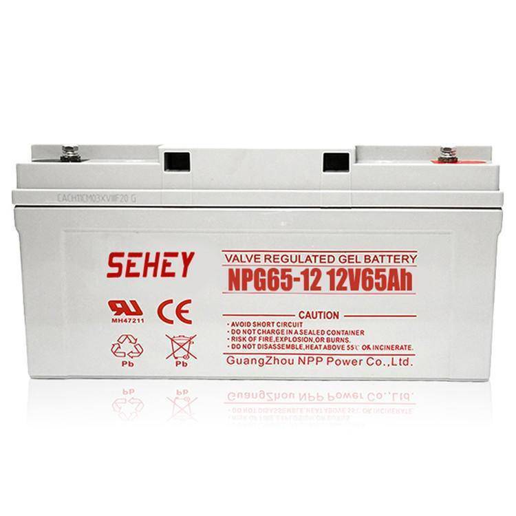 SEHEY蓄电池NPG65-12